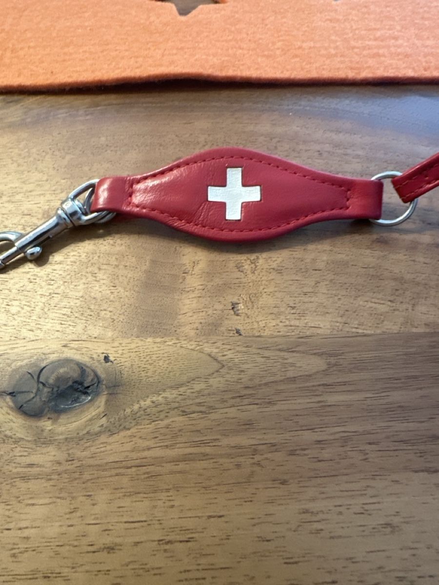 Guinzagli & Collari: Hundeleine – Usato da S. Antonino venduto da Swissbutler
