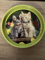 Metalltablar Katzen, neu, unbenutzt 