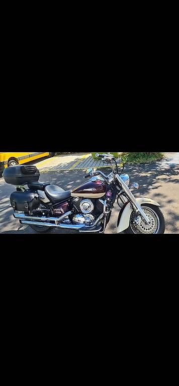 Chopper: Yamaha XVS 1100 Dragstar – Usato da Rorbas venduto da philips1 2
