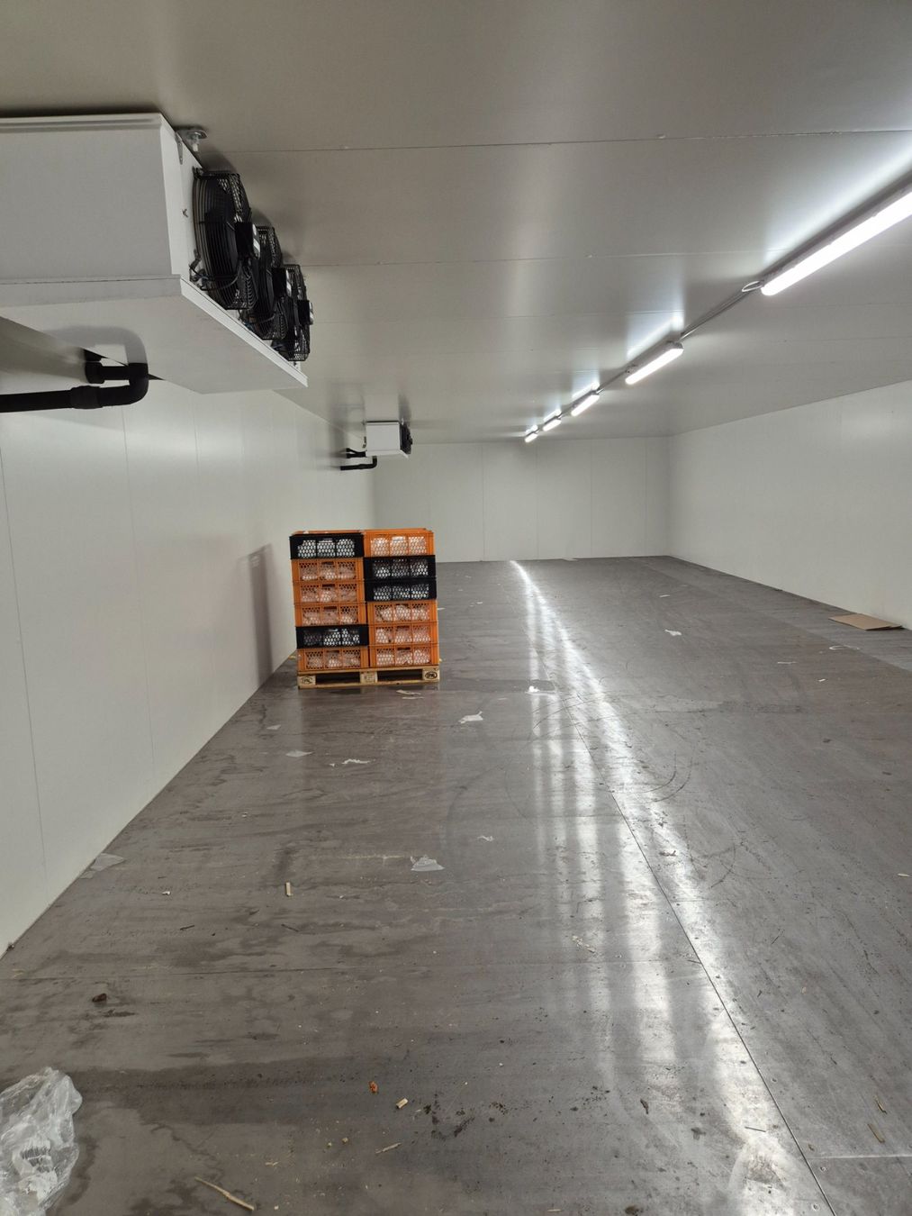 Frigoriferi & Refrigeratori: Tiefkühlzelle – Usato da Schönenwerd venduto da Nussgipfel65 2