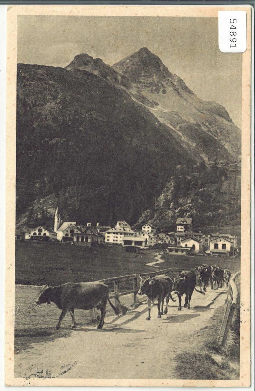 Cartoline postali: Silvaplana mit Piz Polaschin - Rinderherde – Usato da Ettingen venduto da Kartenplanet