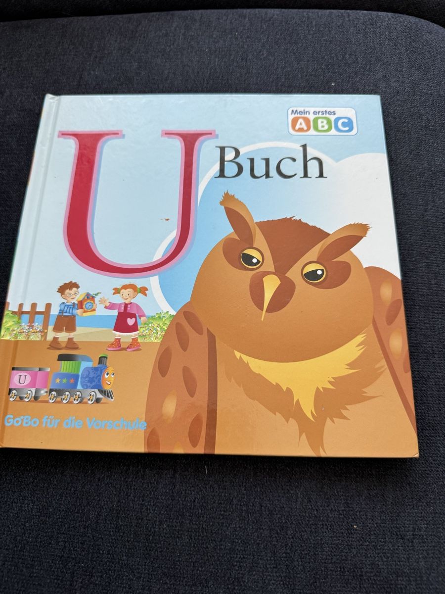 Libri: Kinderbuch - mein erstes ABC – Usato da Grosswangen venduto da Bernadette2020