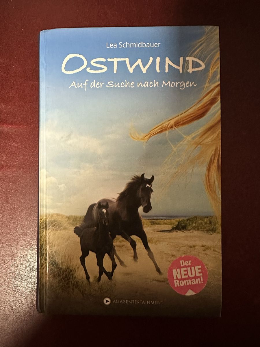 Libri: Buch Ostwind, Auf der Suche nach Morgen – Usato da Hittnau venduto da foxterrier01