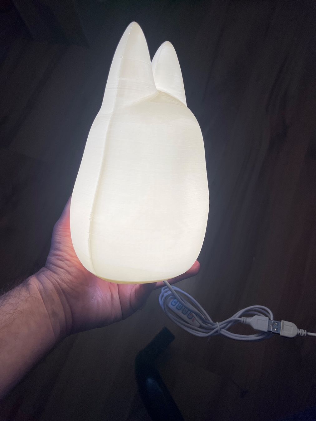 Lampade: Lampe Totoro LED - Veilleuse enfant – Nuovo (secondo la descrizione) da Noville venduto da Berlusconi55 2