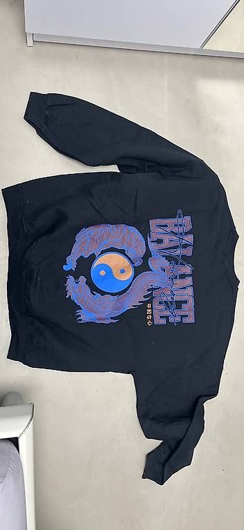 Pulls & Sweat-shirts: Pullover grösse L – D'occasion à Amriswil par sim_sy58 1