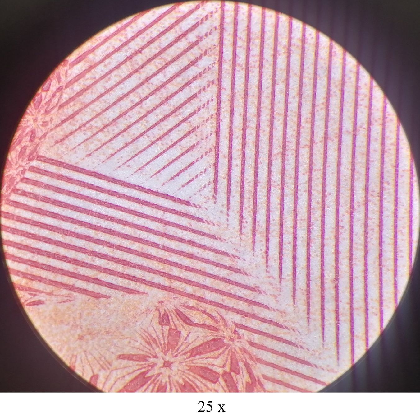 Leica Microscopi: Stereo-Mikroskop LEICA MS5 mit Ringlicht – Usato da Kerns venduto da Tuctuc2 7