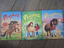 3 Ponyherz Bücher  guter Zustand Band 1, 10 und 13