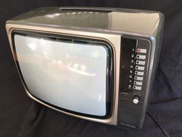 TV Röhrenfernseher Sanyo für Retrokonsolen, Commodore, usw.