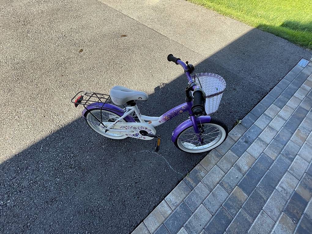 Biciclette: Kindervelo 16" – Usato da Alpthal venduto da Packi01 2
