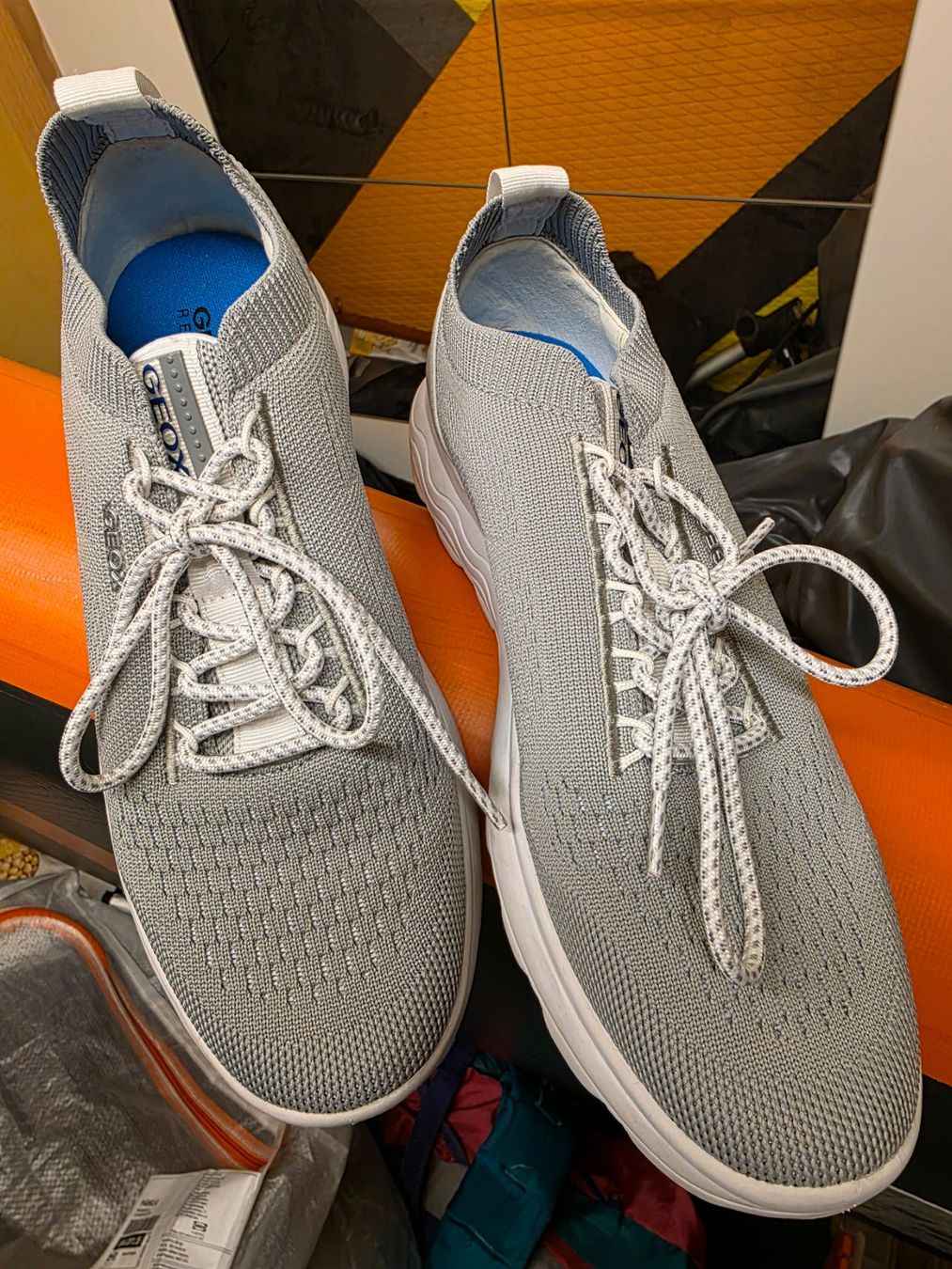 Geox Scarpe da donna: Geox Sneaker Gr. 40 – Nuovo (secondo la descrizione) da Zürich venduto da diekorni4 4