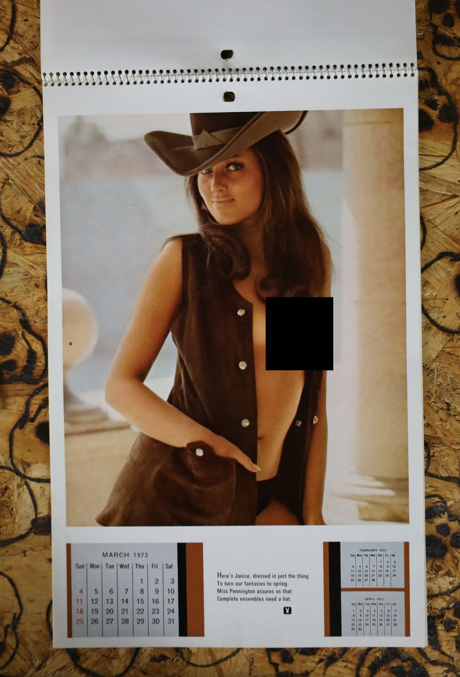 Playboy Calendari: PLAYBOY Kalender 1973 – Usato da Birrwil venduto da brandschatz_birrwil 2
