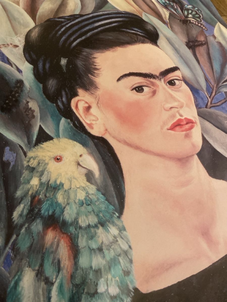 Posters & Illustrations: Plakat Frida Kahlo 45x70cm – D'occasion à Zürich par luc_8sdm 4