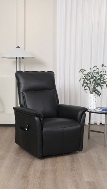 Conforama Poltrone: Relaxsessel Echtleder NEU HALBER PREIS 299.- – Nuovo (secondo la descrizione) da Zürich venduto da Davi03 1