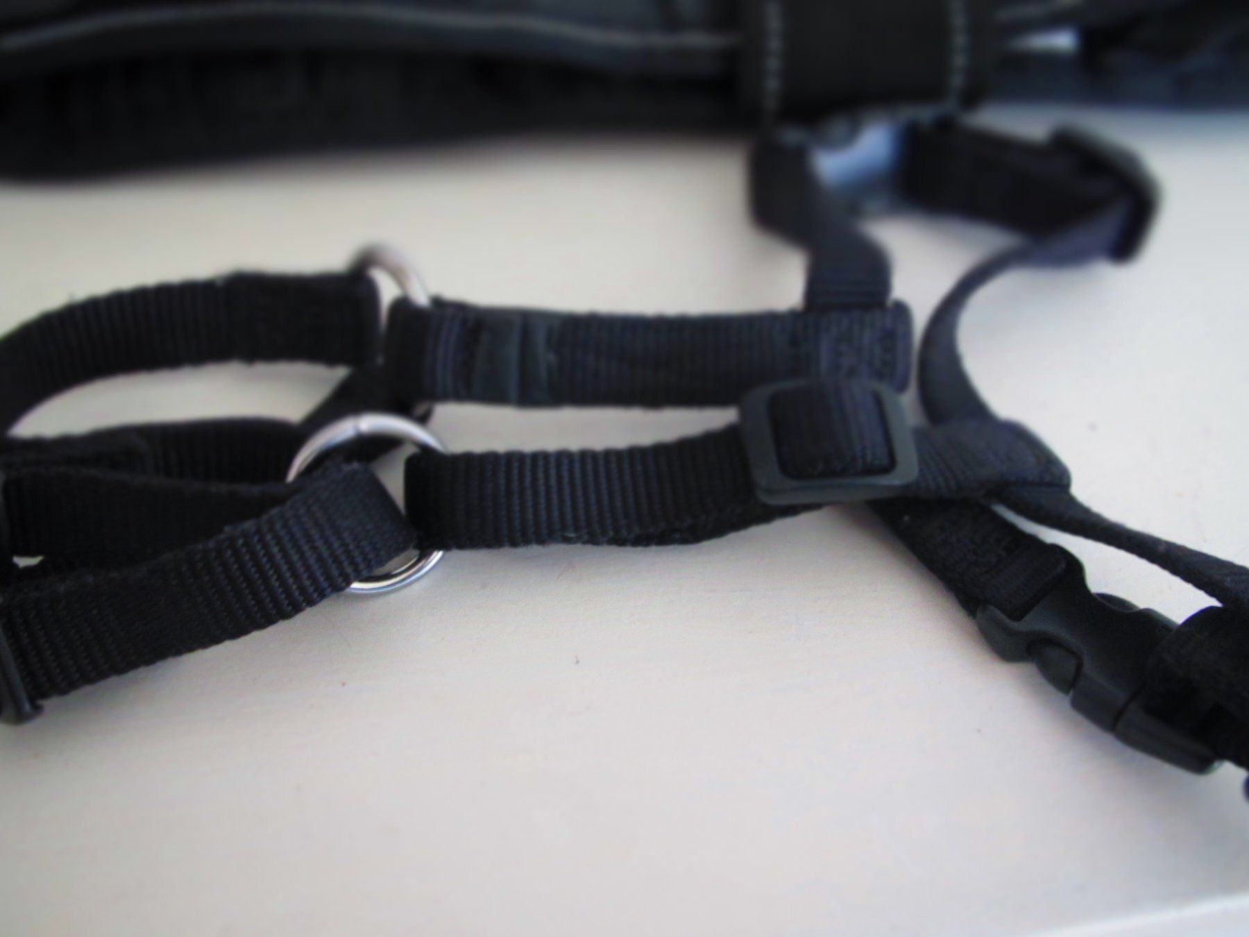 Abbigliamento: MANTEAU ET ACCESSOIRES POUR CHIEN – Usato da Murten venduto da Selliot 3