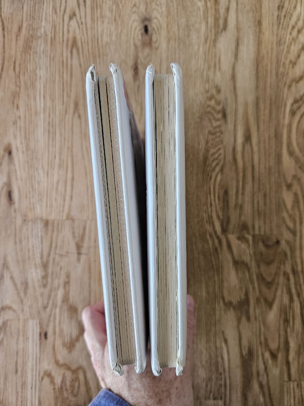 Libri: Petite Fille livres – Usato da Visp venduto da hutter88 4