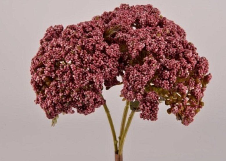 Tutte le decorazioni: Beerenbündel pink, künstlich – Nuovo (secondo la descrizione) da St. Gallen venduto da Miousch