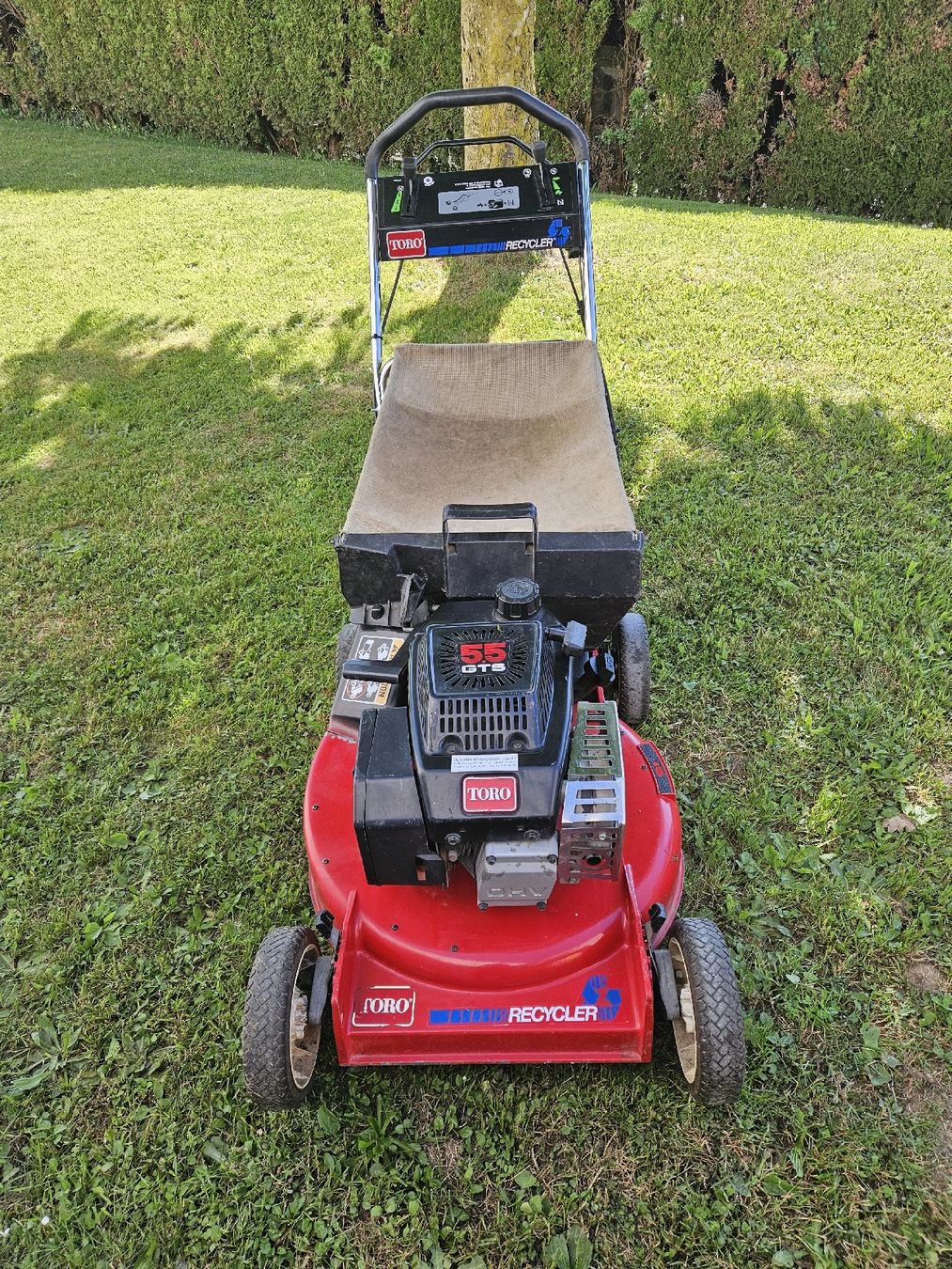 Toro Tagliaerba: Toro Recycler Rasenmäher 5.5 GTS mit Korb – Usato da Emmenbrücke venduto da TopGato 1