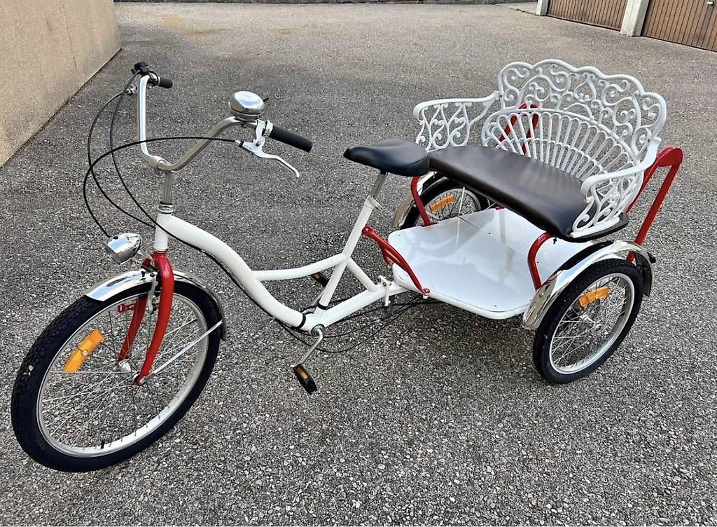 Biciclette: Unica bicicletta tre ruote  – Usato da Quartino venduto da DiloUsato