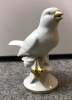 Porzellanvogel (Gerold Co Tettau Bavaria Porzellanfigur)