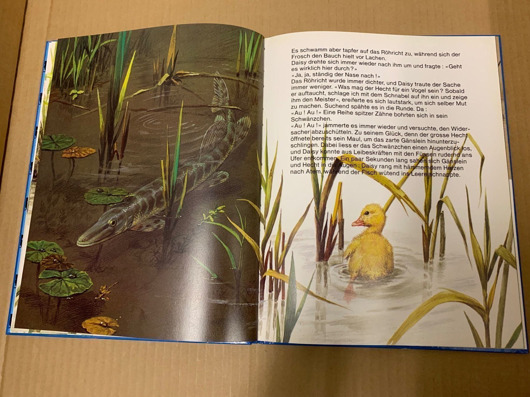 Bücher: Daisy das hochnäsige Gänslein (Buch) – Gebraucht aus Eschlikon TG von RamonaSt 5