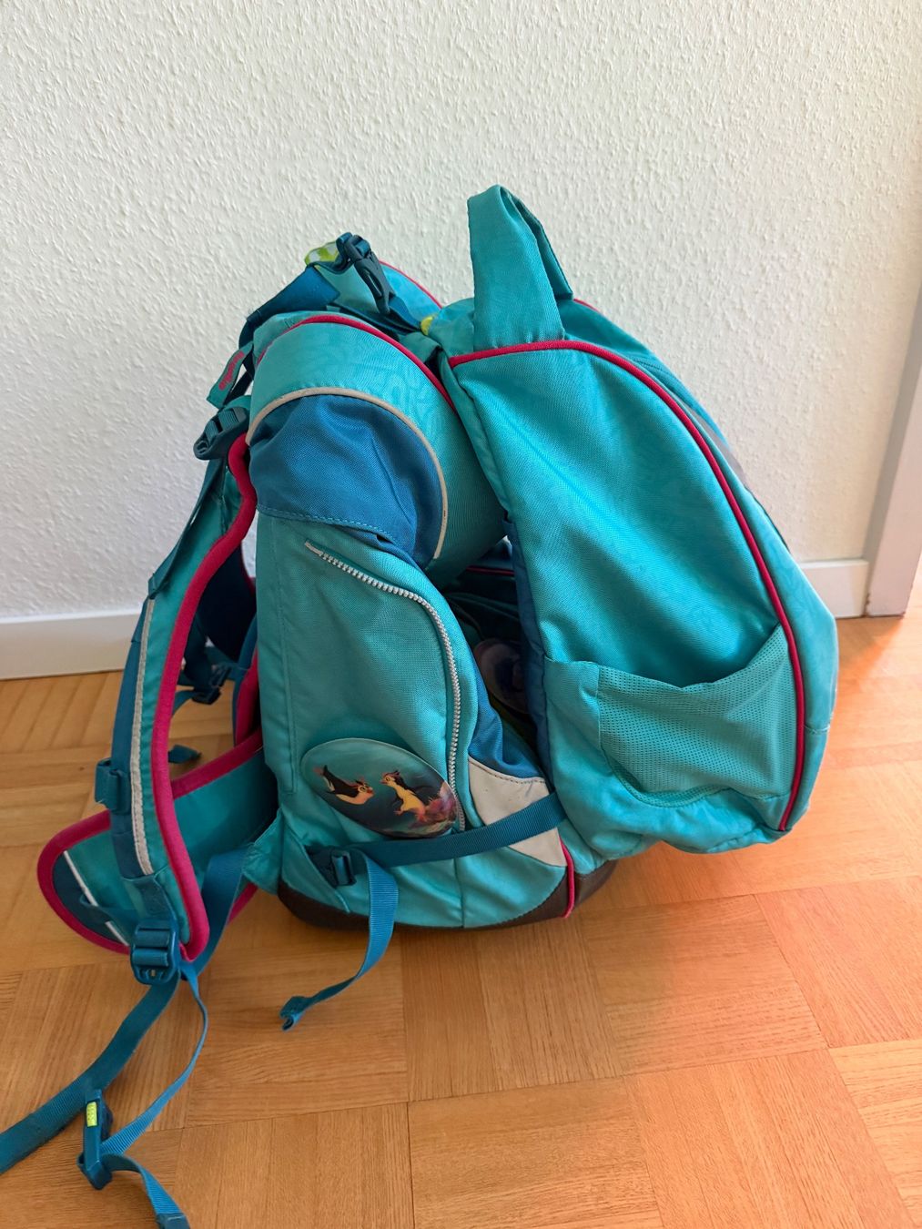 Ergobag Borse & Zaini: Ergobag Schultasche Set mit Sporttasche und Etui – Usato da Münchenstein venduto da Irynka 3