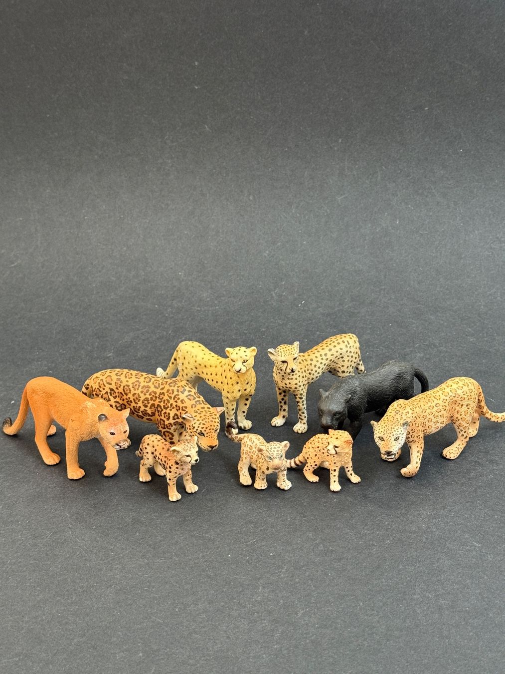Schleich Statuette: Schleich Grosskatzen Leopard Gepard Schwarzer Panther – Usato da Ennetbaden venduto da mapa05