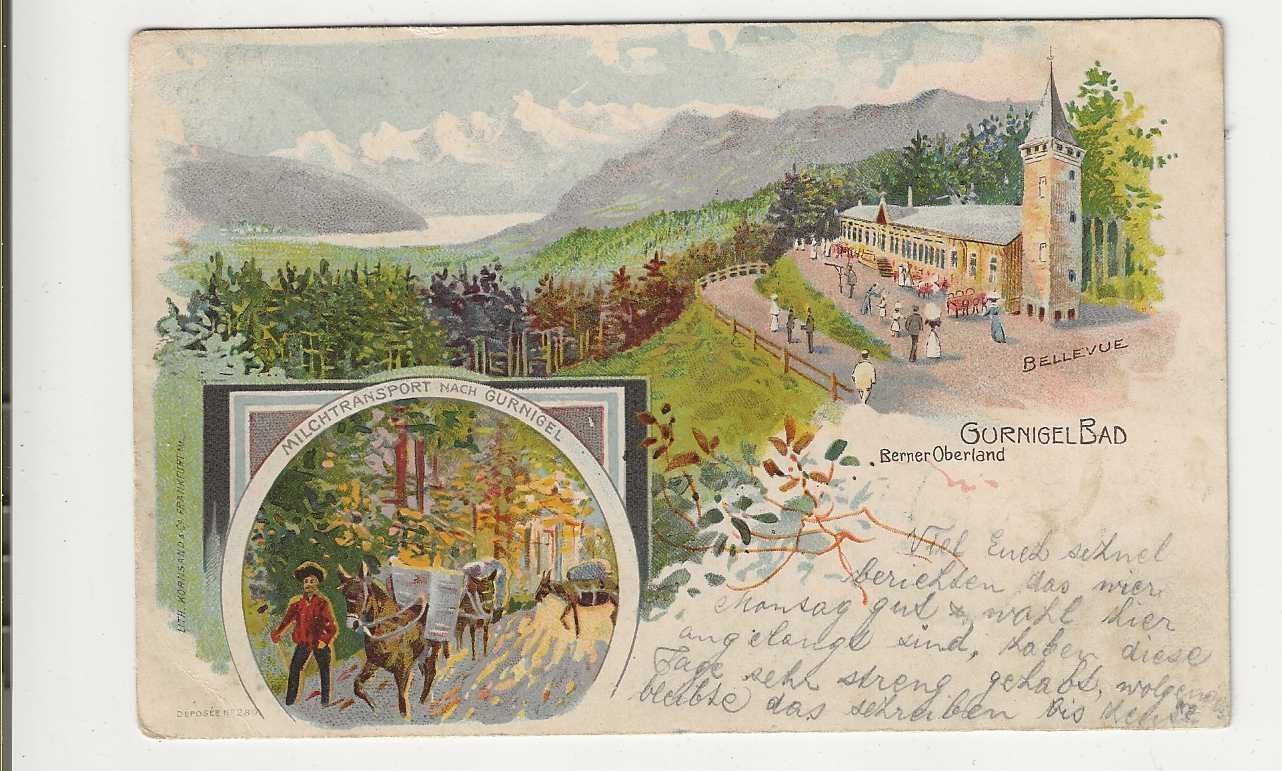 Cartoline postali: Gurnigel-Bad, 1904, Litho – Usato da Spiez venduto da Niesen20