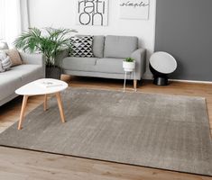-50% ‼️‼️ Riesiger Teppich Super Soft 240x340 GRAU