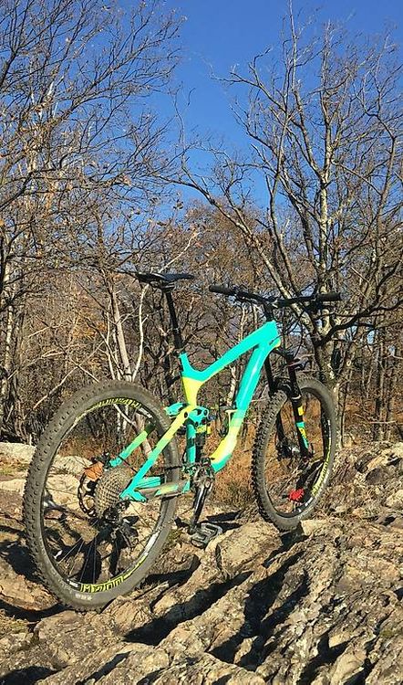 Giant Vélos: Giant Reign Advanced 1 2018 – D'occasion à Minusio par deca14 3