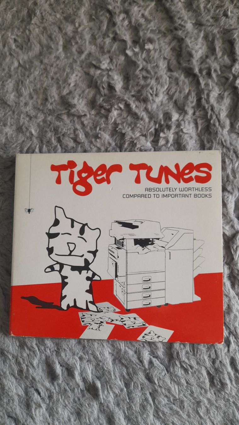 CDs: TIGER TUNES   ABSOLUTLY WORTHLESS COMPARED TO IMPORTANT   CD – Gebraucht aus Wetzikon ZH von Ramones01