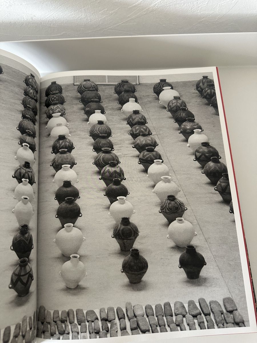 Libri: Jamais utilisé ! AI WEIWEI livre – Nuovo e nell'imballaggio originale da St-Sulpice VD venduto da _sell_off 2