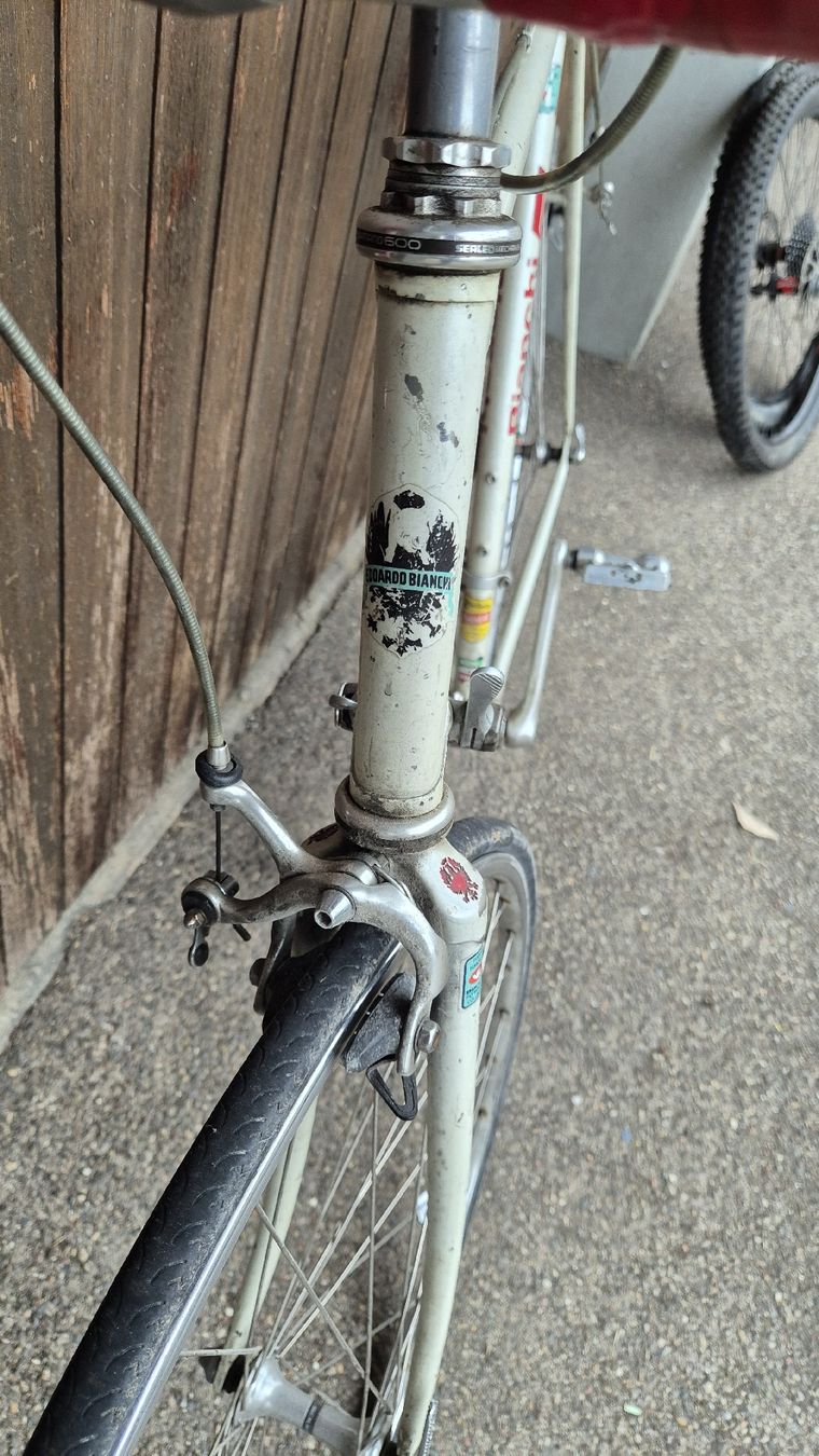 Bianchi Biciclette: Bianchi rennvelo – Usato da Rämismühle venduto da beni0010 2