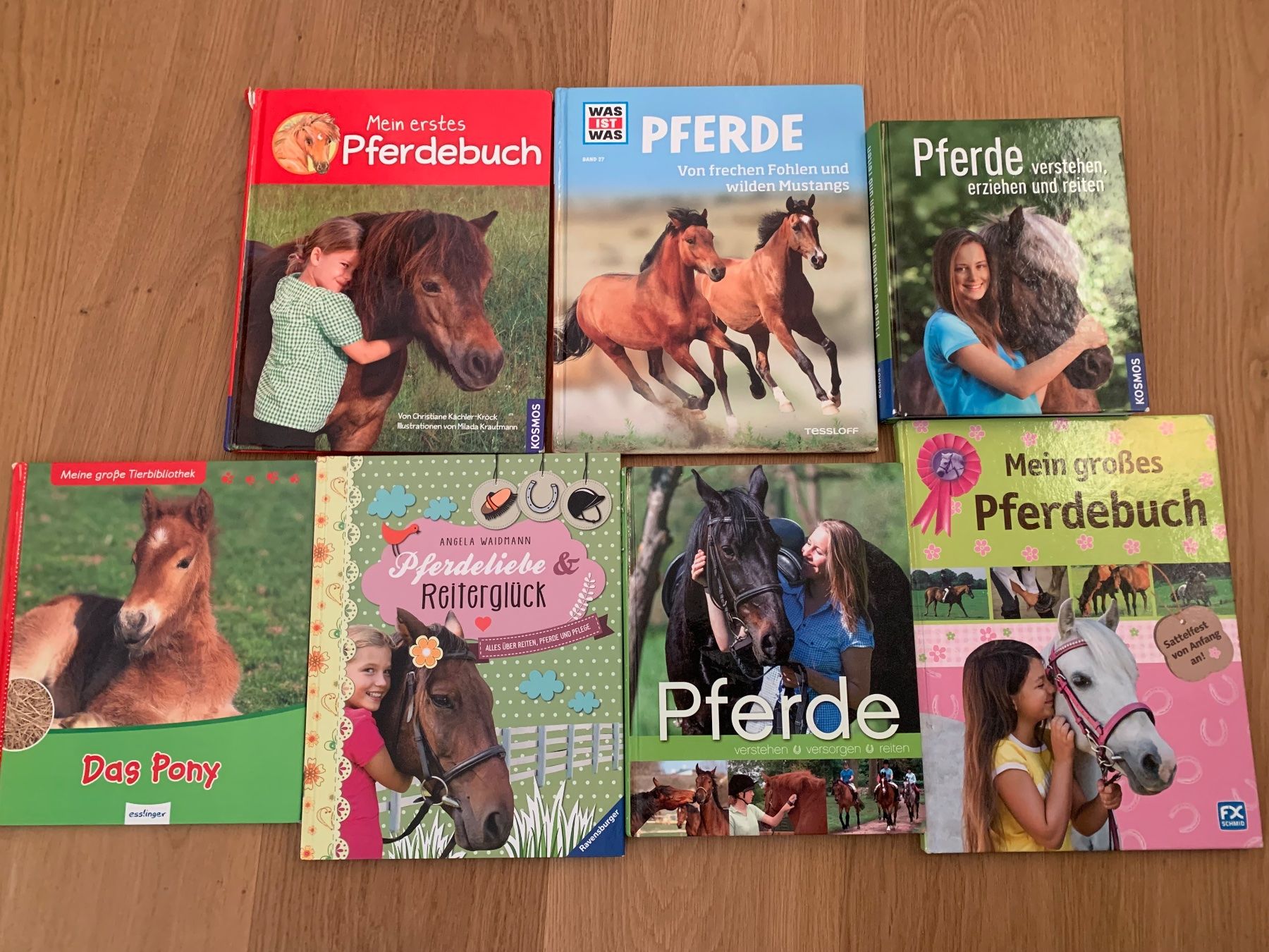 Libri: 7 Pferdebücher, Sachbücher, Ratgeber und Geschichten – Usato da Signau venduto da stalder-langenegger
