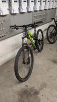 Wheeler Brazilian 14 MTB