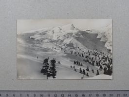 Winter in Grindelwald, Ski, Skifelder Kleine Scheidegg