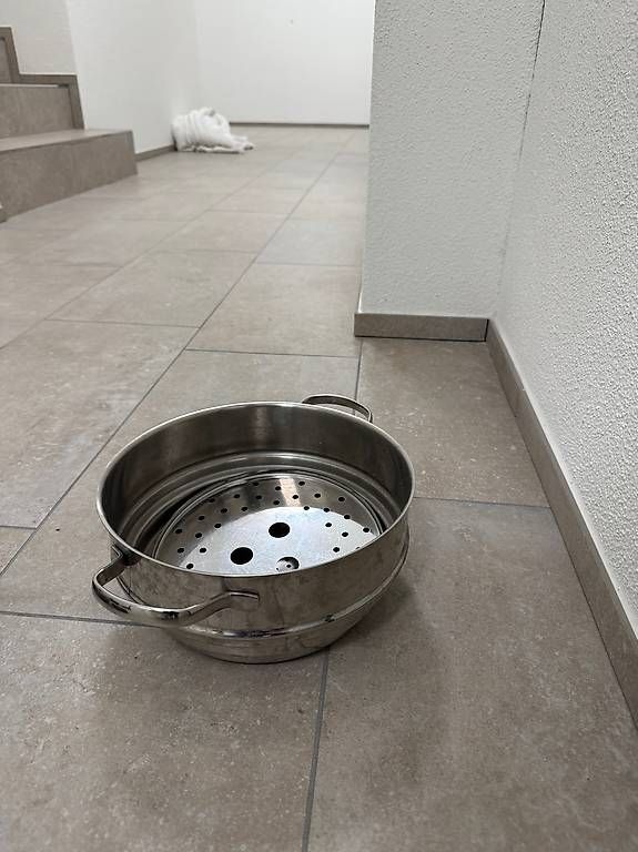 Elettrodomestici da cucina: Luxus Dampfgarer / Dampfeinsatz - gesundes Kochen – Usato da Schübelbach venduto da Rahnmont 3