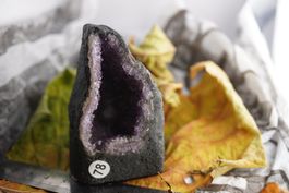 Die (vielleicht)  2kleinste Amethyst-Druse der Welt!💜 Minas