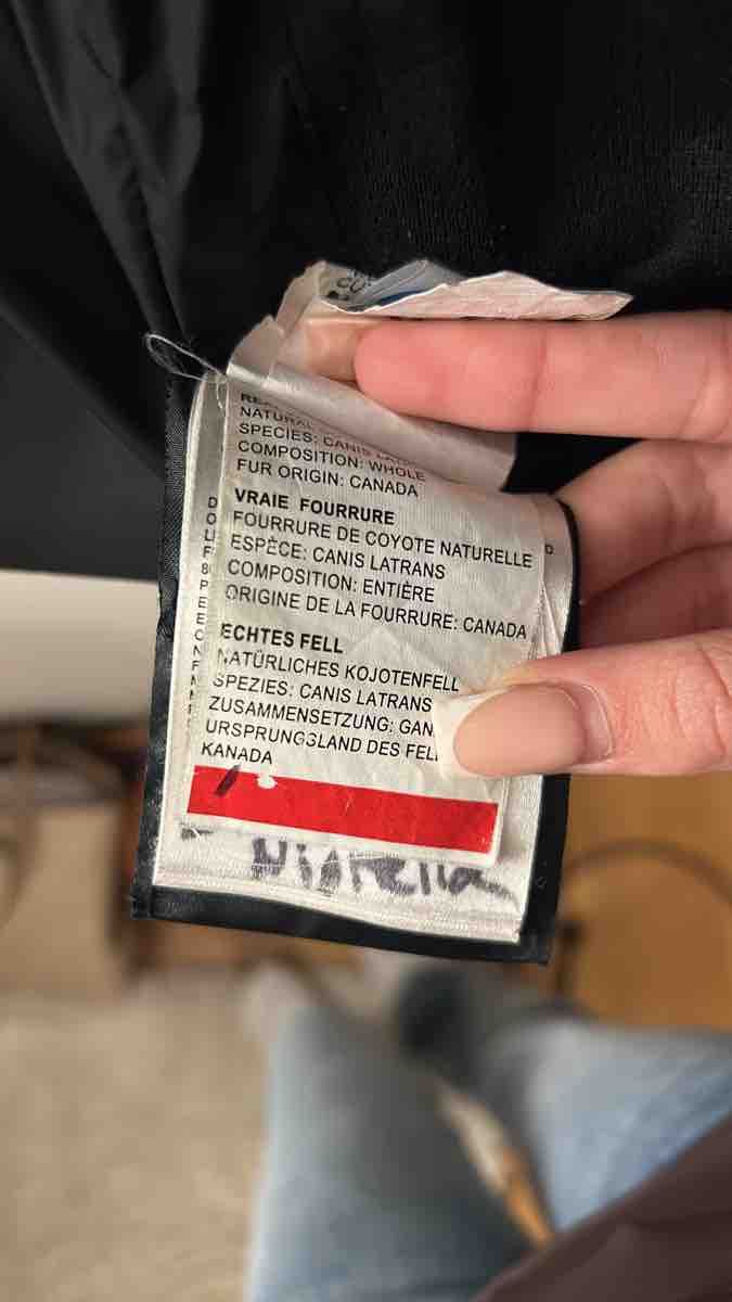 Canada Goose Giacche & Cappotti: Canada Goose  Grösse 14-16 – Nuovo (secondo la descrizione) da zuerich venduto da rotezora03 2