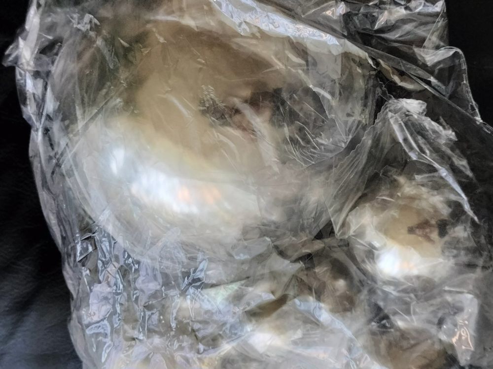 Mirweon Edelstahl-Gartenkugeln Set - 5 Stück Polierte Kugeln Für Teich & Garten