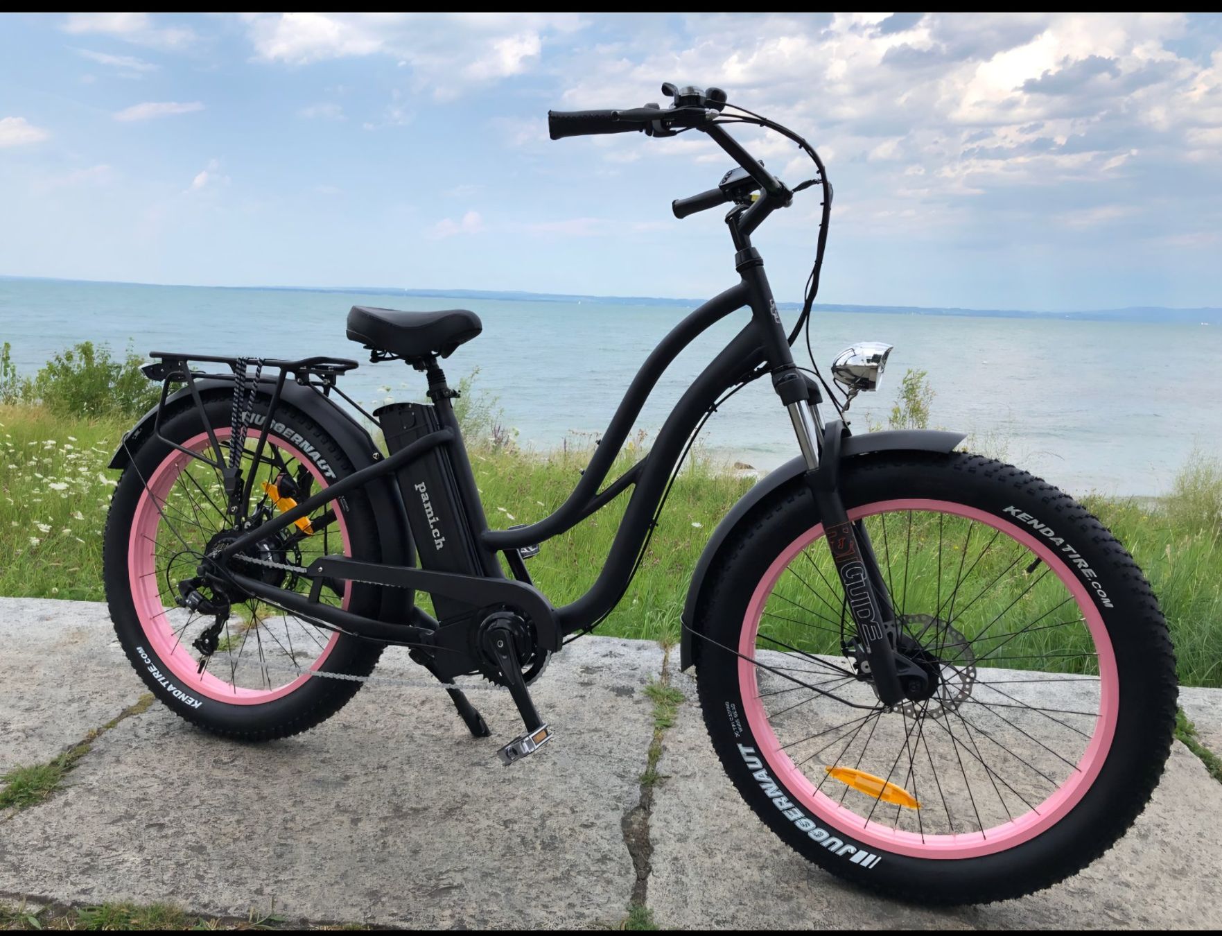 Biciclette: Cruiser Damen E-Bike Fat Wheels – Usato da Bellach venduto da it75