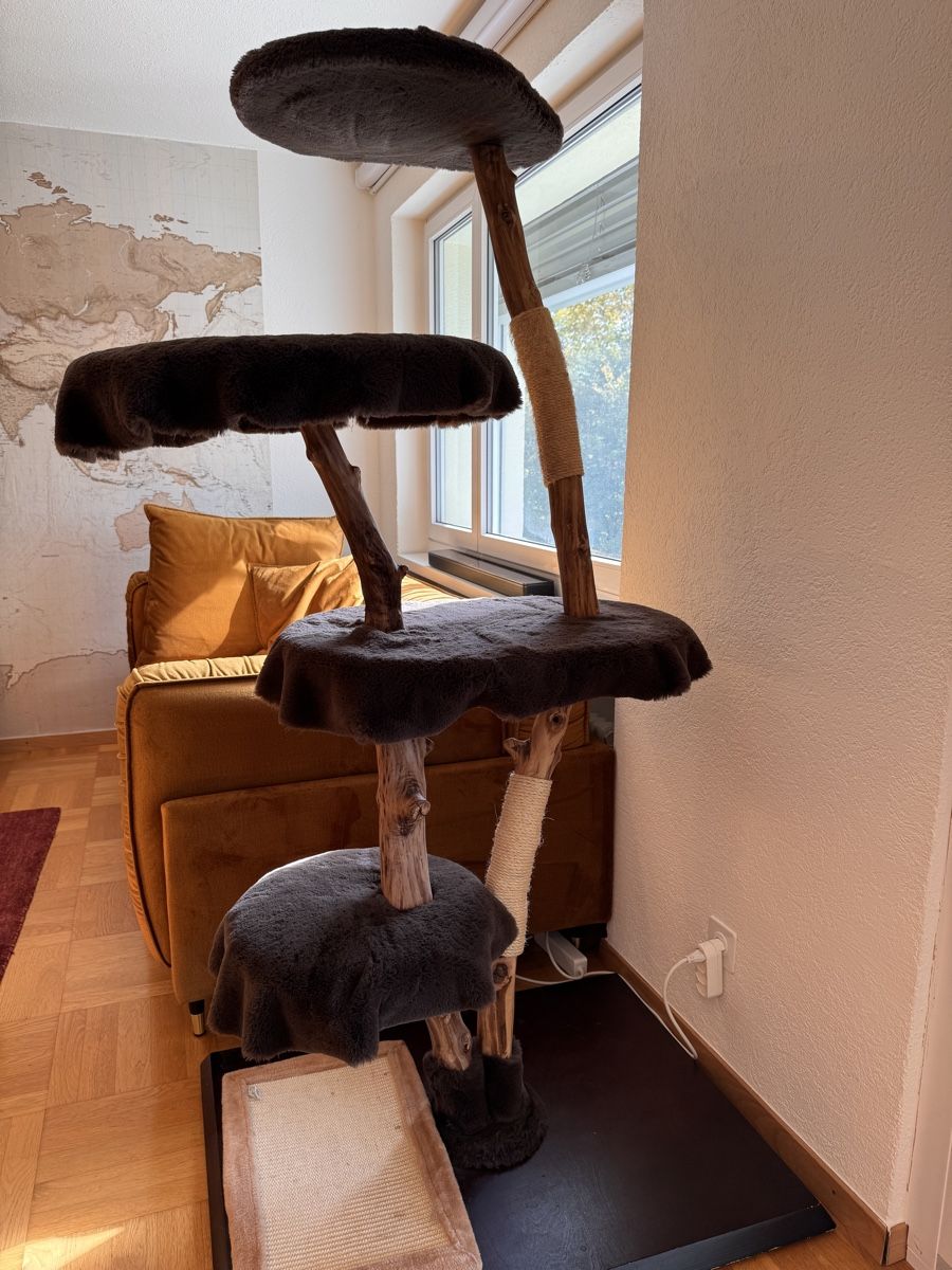 Tiragraffi: Katzenbaum aus Echtholz – Nuovo (secondo la descrizione) da Winterthur venduto da Skg123 1