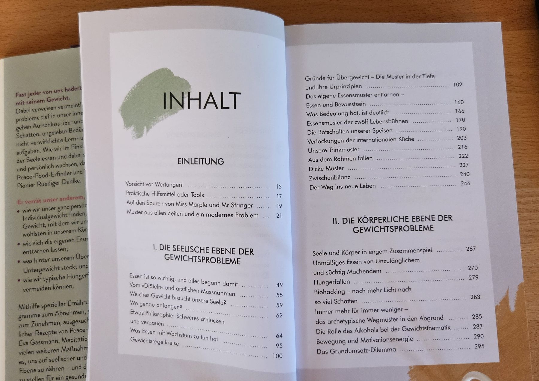 Bücher: Ruediger Dahlke Mein Individual - Gewicht – Gebraucht aus Kefikon TG von pelikan18 2