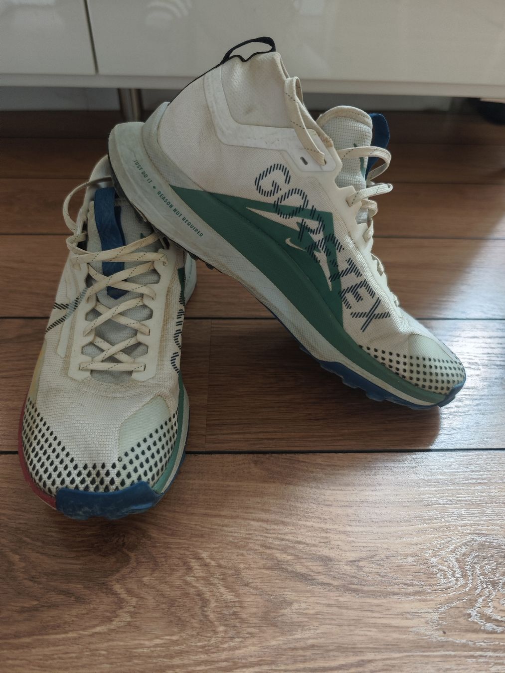 Nike Chaussures hommes: Nike Pegasus Trail Gore-Tex, Taille 45, – D'occasion à La Chaux-de-Fonds par nat_6ctj