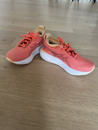 Asics Gel-Nimbus 25, Running Shoes, Gr. 38