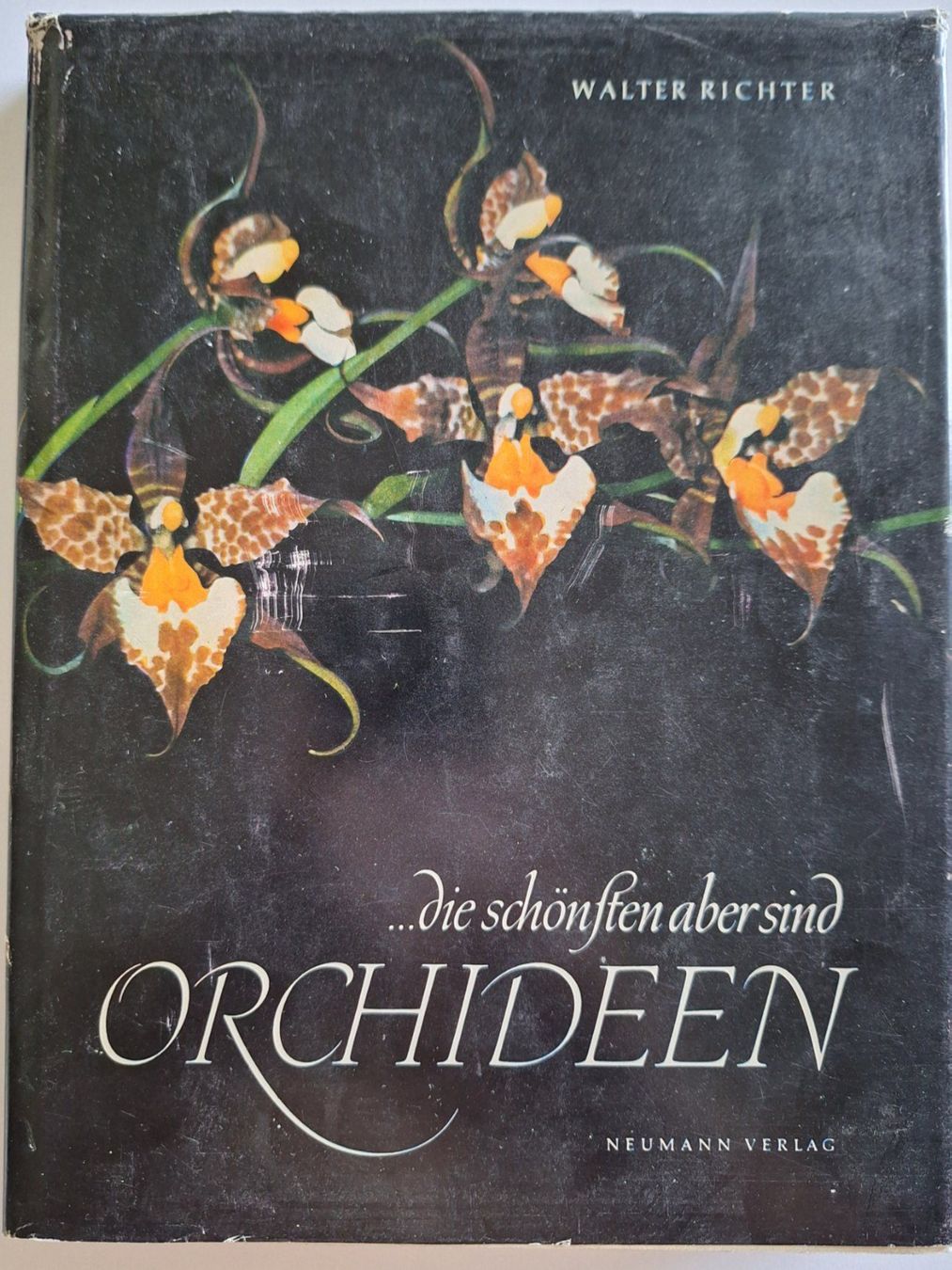 Libri: Orchideen Buch, Walter Richter, Neumann Verlag – Usato da Zürich venduto da t24_de