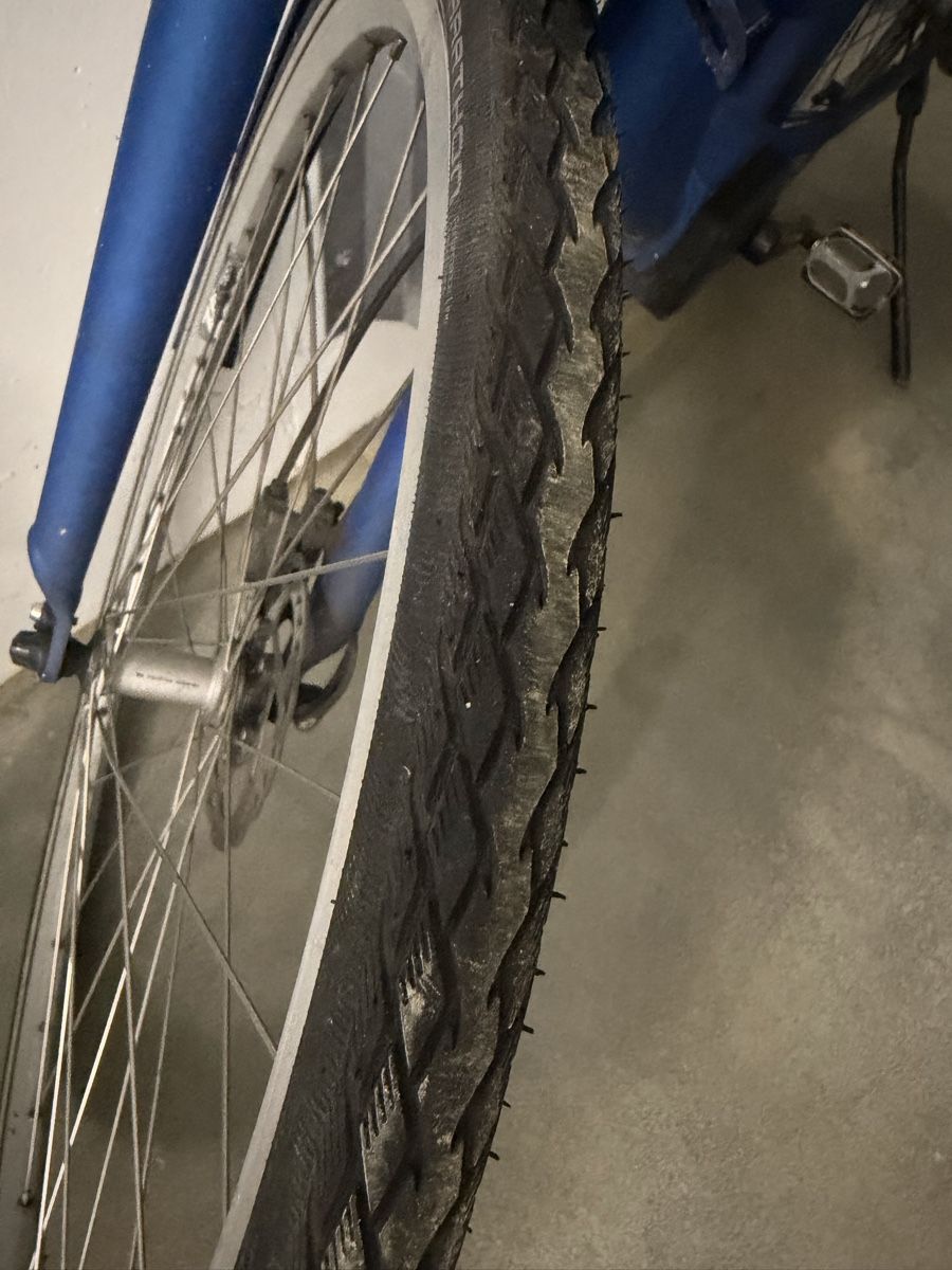 Cresta Biciclette: Cresta Damenvelo – Usato da Zürich venduto da and_fpn2 3
