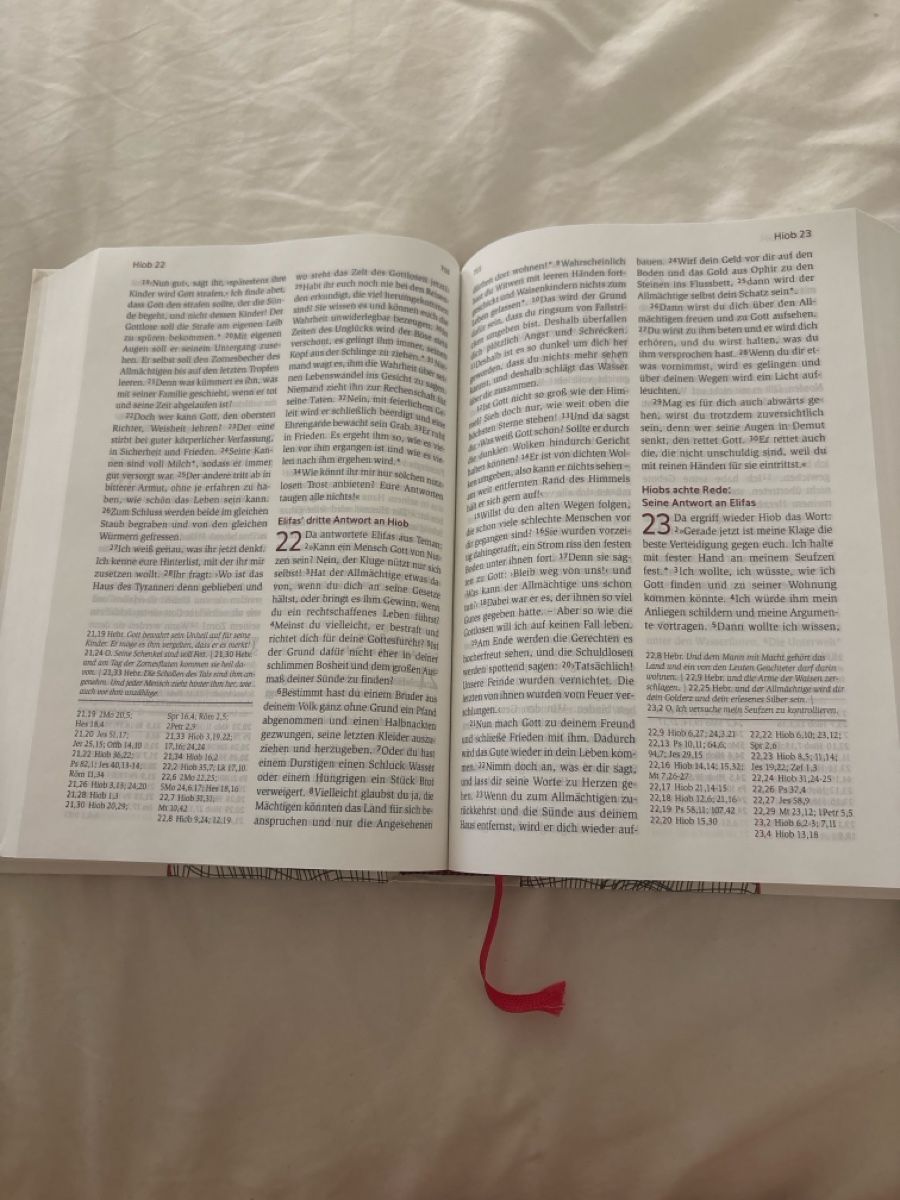Libri: Neues Leben Die Bibel – Nuovo (secondo la descrizione) da Ebikon venduto da cel_g9 2
