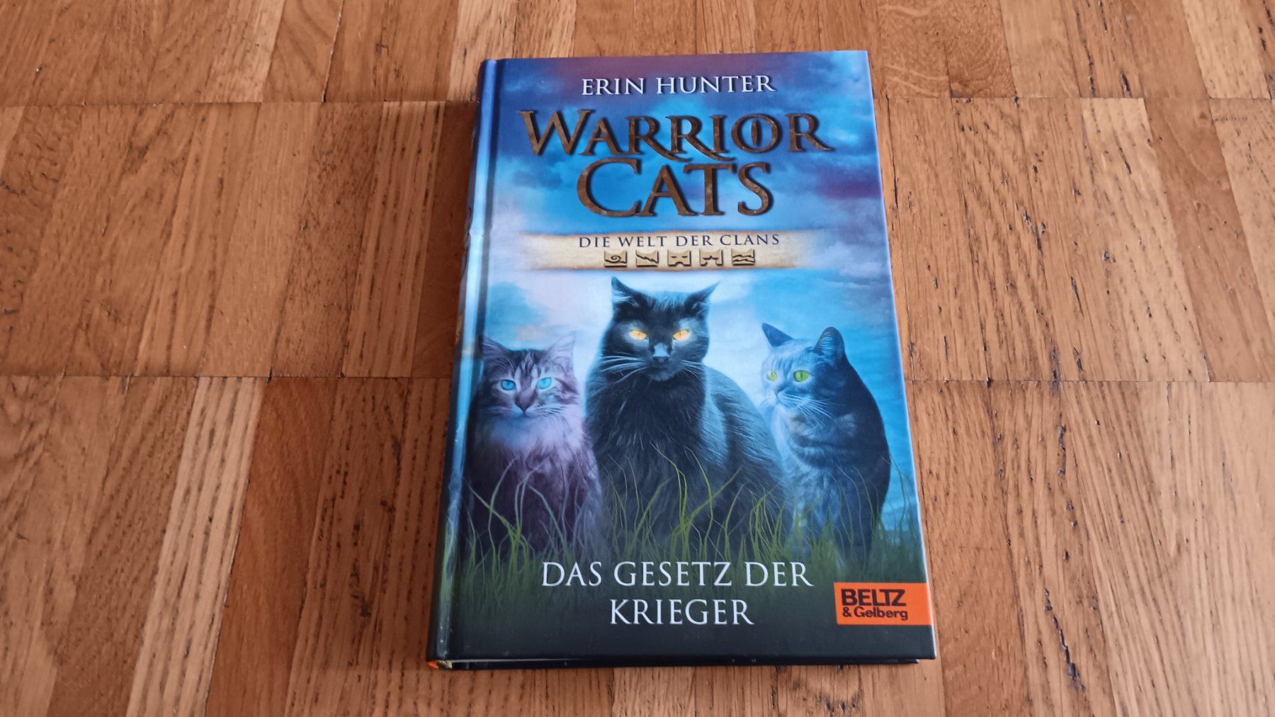 Bücher: Warrior Cats Bücher-Set, 3 Stück – Gebraucht aus Dietikon von Rabia 2