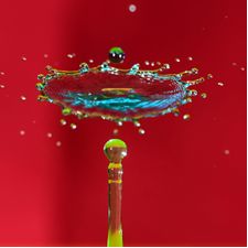 Profile image of steve_weil