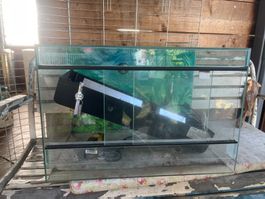 Terrarium mit Zubehör